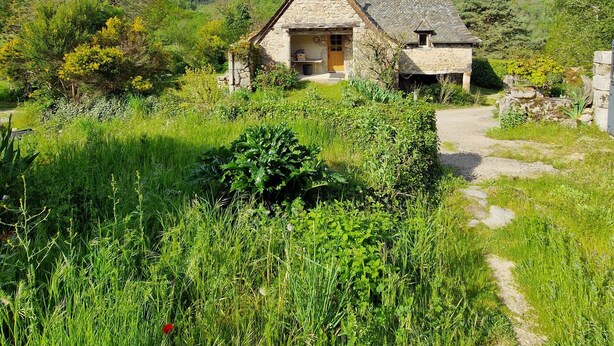 A stone house with a sloped roof, surrounded by lush greenery and a clear sky. - Le Puy D'aubrac, Maison Familiale en Pleine Campagne (Florentin-la-Capelle)