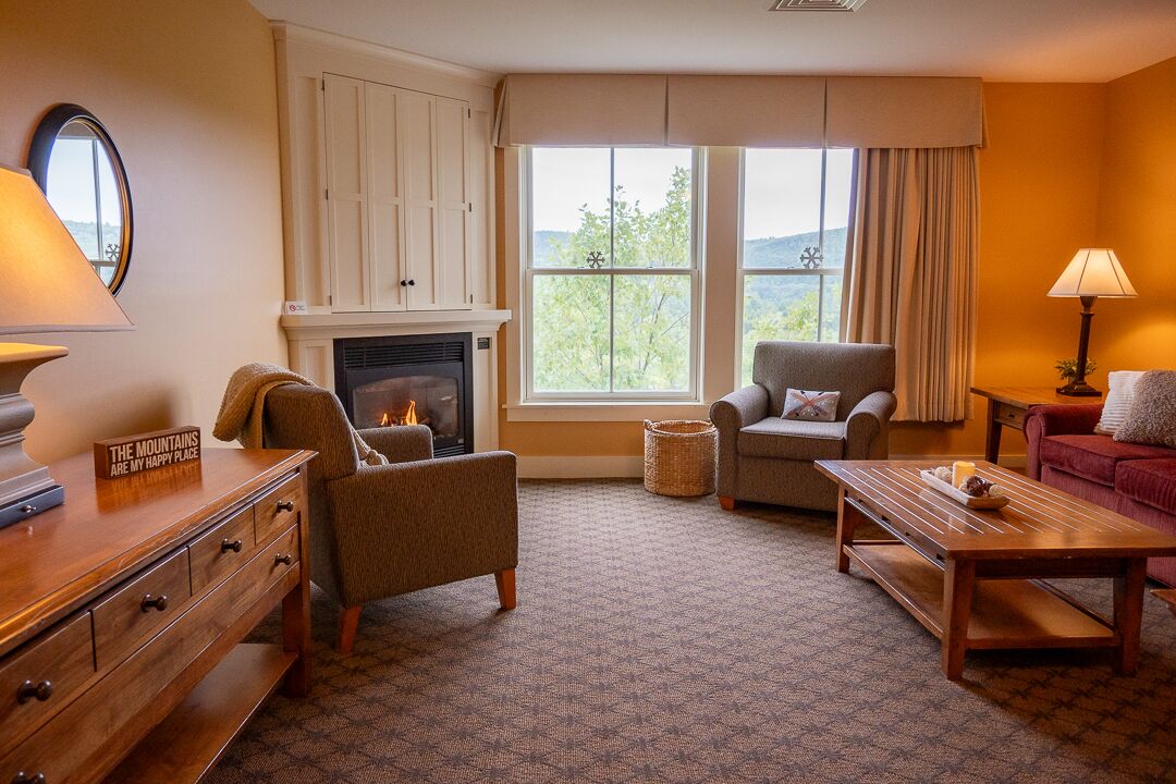 TV connectée, cheminée, lecteur de DVD