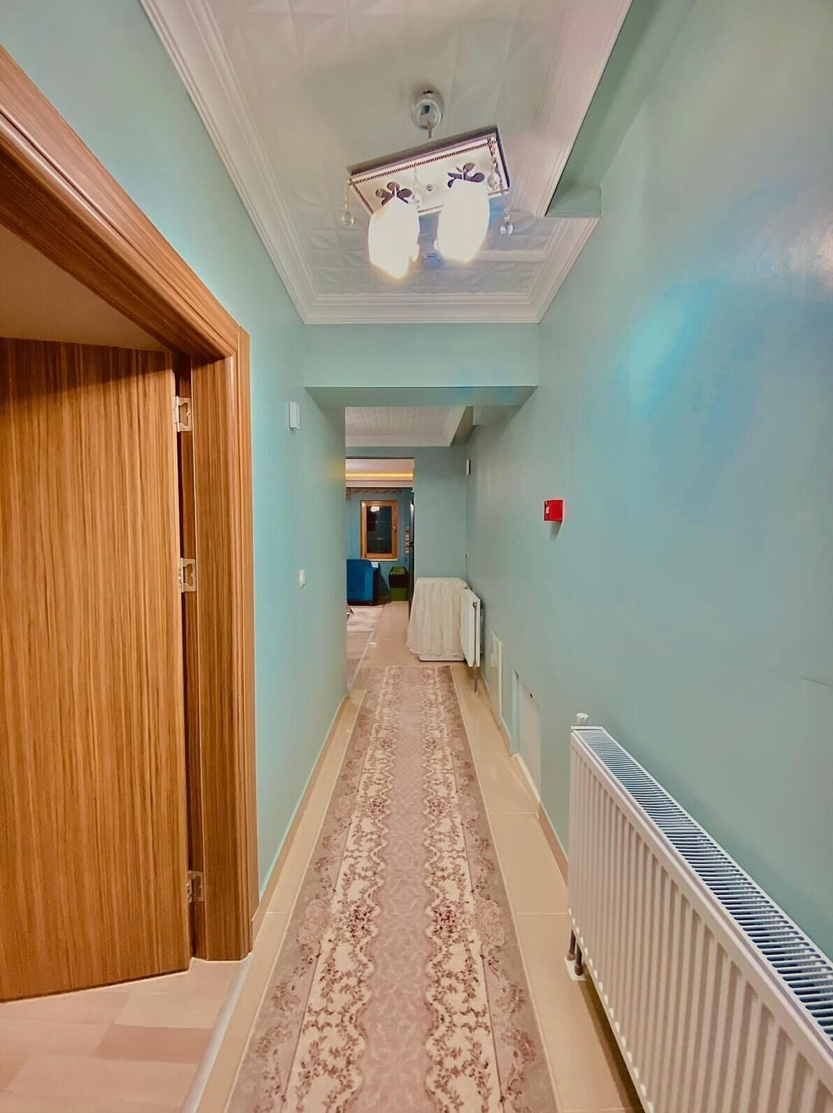A hallway with a patterned carpet, a radiator, and a ceiling light fixture.