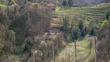Paisaje rural con campos en terrazas, una casa pequeña y un puente.