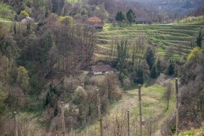 A rural landscape with terraced fields, a small house, and a bridge. - Villa Dolina Miru (Zavrc)