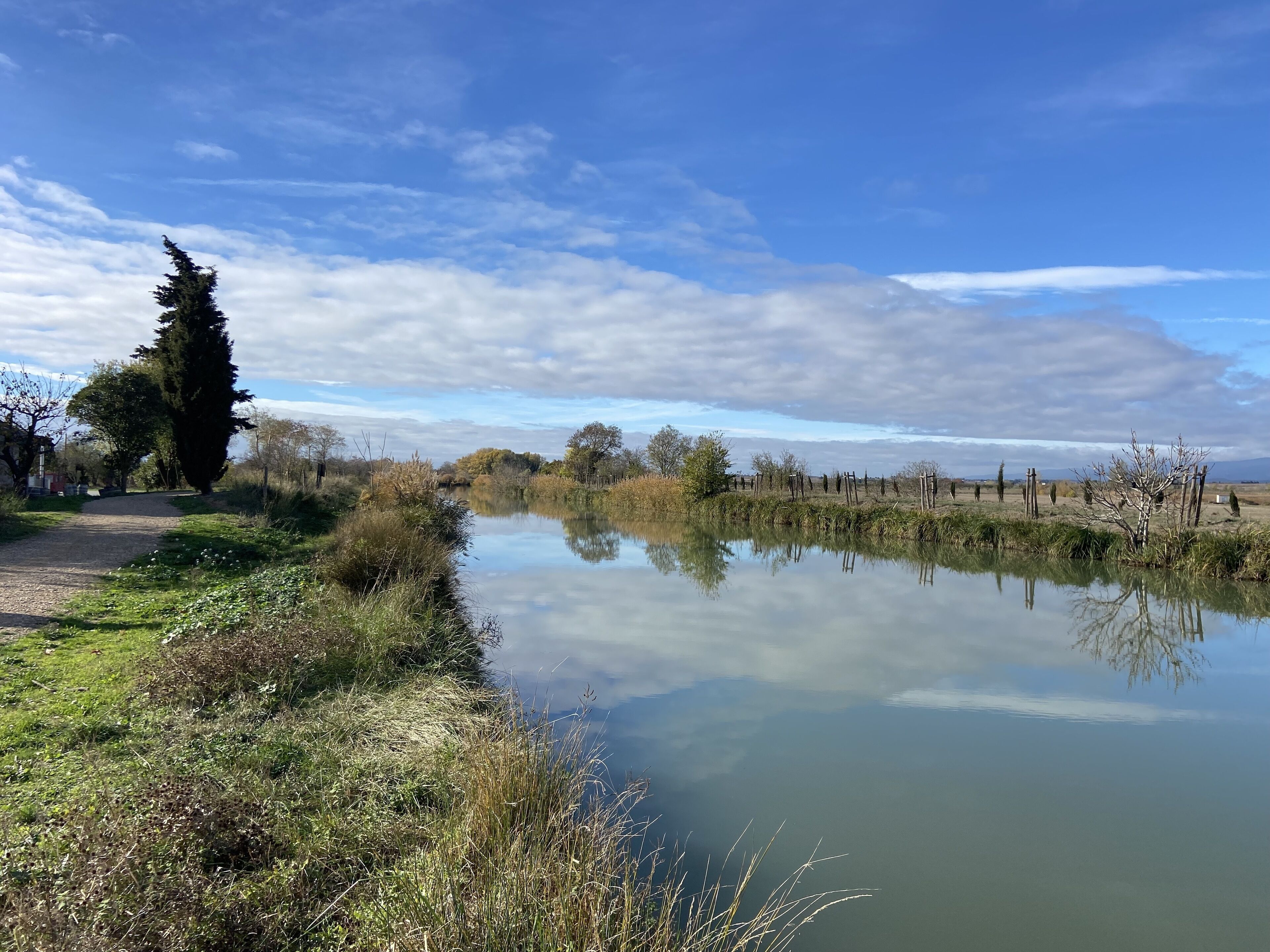 A calm river with a clear reflection, surrounded by grass and trees, under a partly cloudy sky.