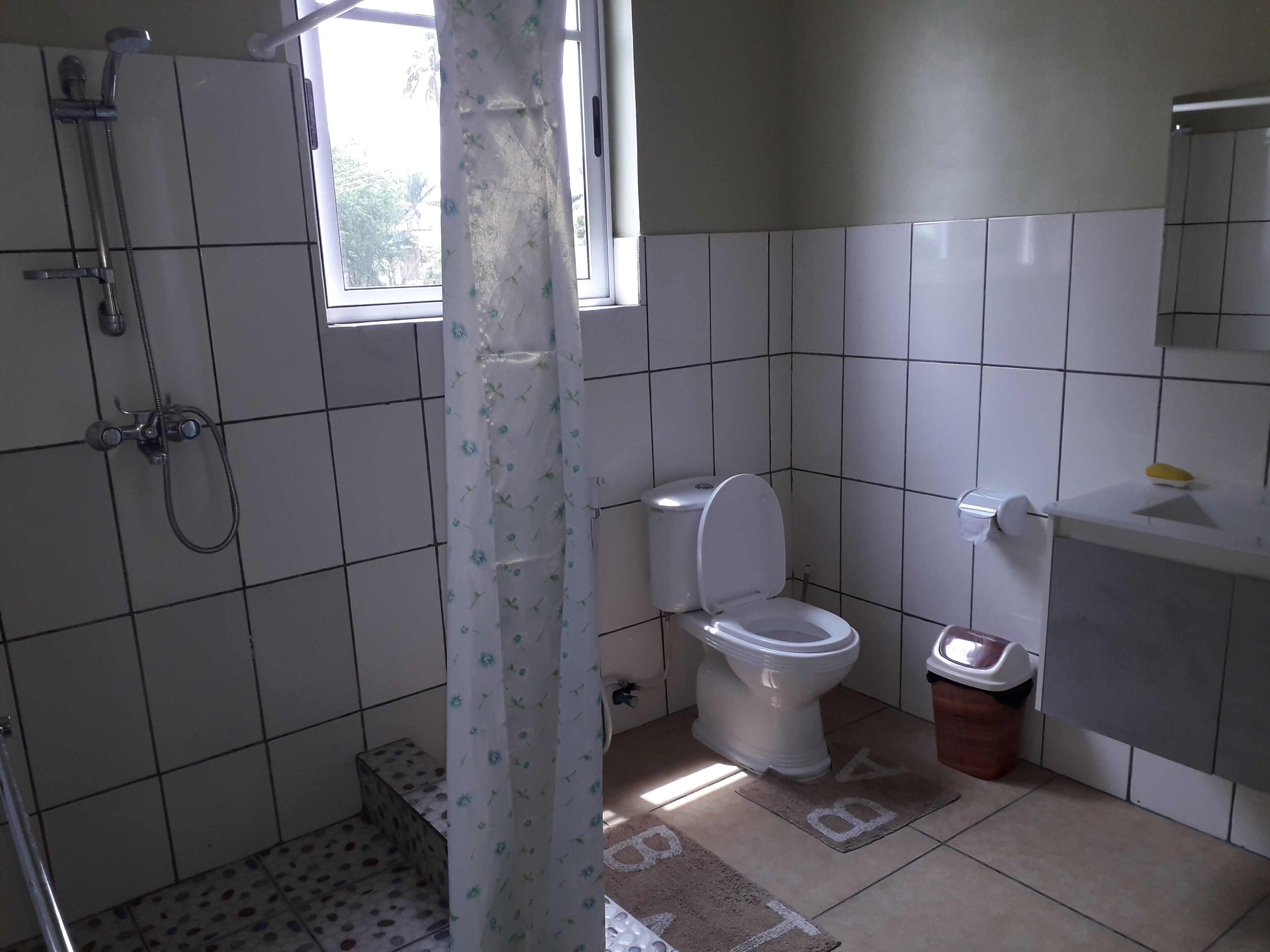 Shower, towels, soap, toilet paper