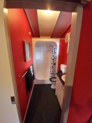 Une petite salle de bain comprenant des toilettes, un lavabo et un espace douche.