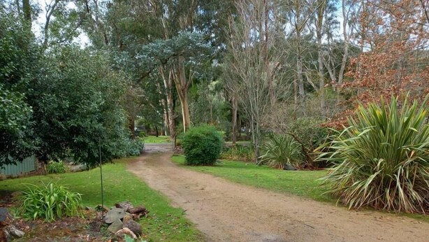 Un sendero de tierra que atraviesa un jardín con diversas plantas y árboles.