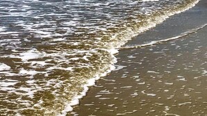 A beach with waves approaching the shore, a distant boat, and a clear sky. - Sunset Rentals | Colonnade Club 142 (Hilton Head Island)