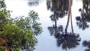A calm pond with reflections of trees and a building in the background. - Sunset Rentals | Colonnade Club 142 (Hilton Head Island)