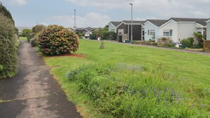 Eine Wohnstraße mit Häusern, einem Fußweg und einem gepflegten Rasen mit Blumen.