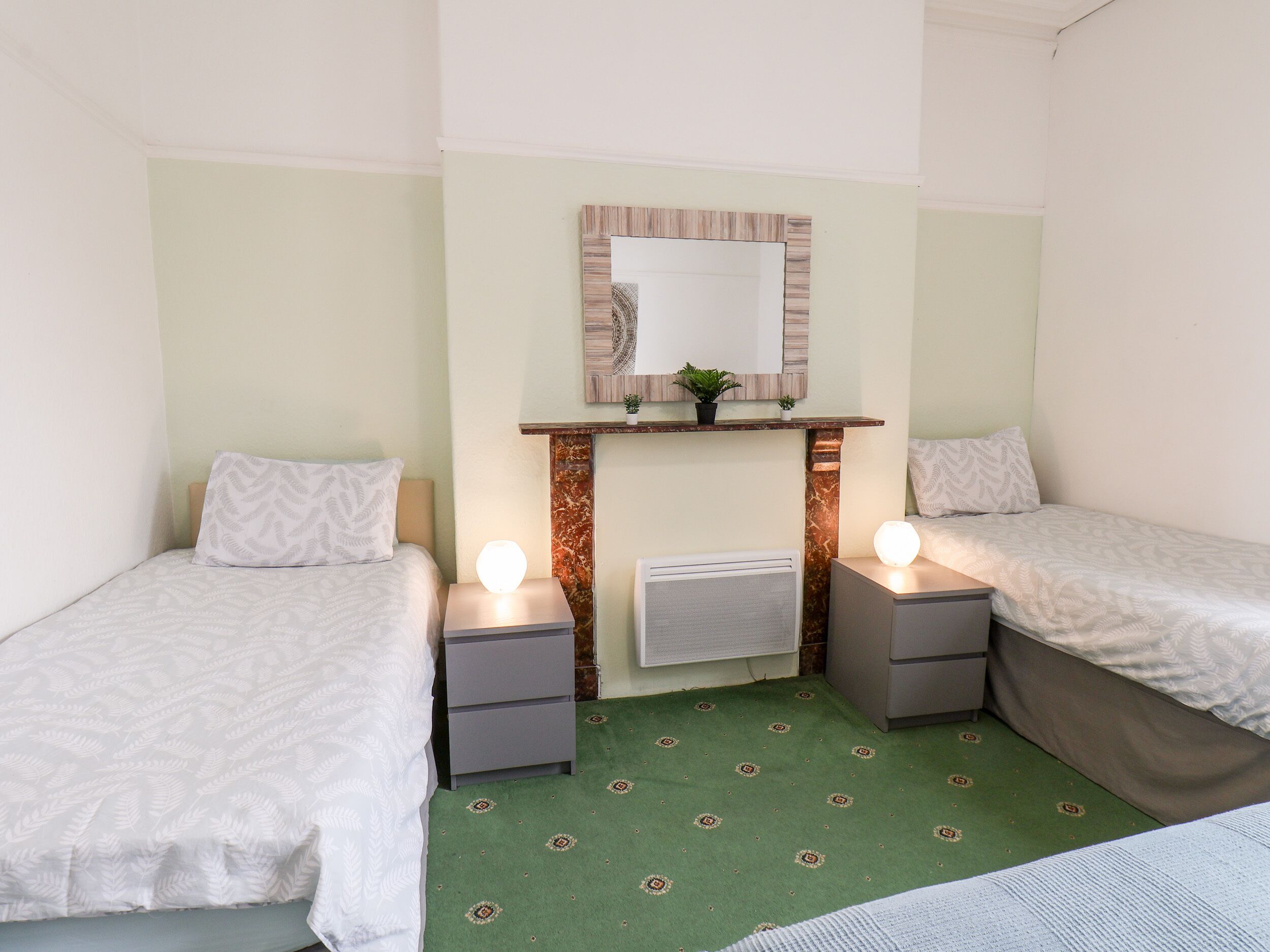 A room with two single beds, a small mirror above a shelf with a plant, and a green patterned carpet.