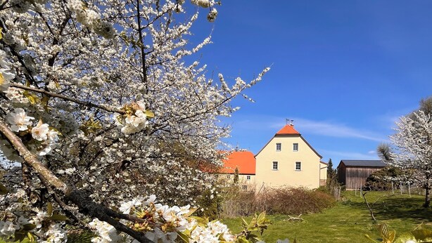 A building with a red roof, surrounded by a well-maintained lawn and blooming trees. - Cozy holiday apartment on a former farm in a quiet, green location (Hohnstein)