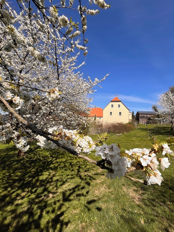 Property grounds - Cozy holiday apartment on a former farm in a quiet, green location (Hohnstein)