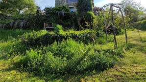 Una casa de piedra con un gran ventanal, rodeada de exuberante vegetación y un cielo despejado.