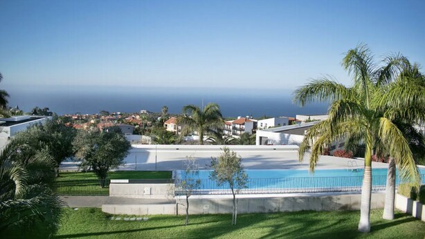A residential area with a swimming pool, palm trees, and a view of the sea.