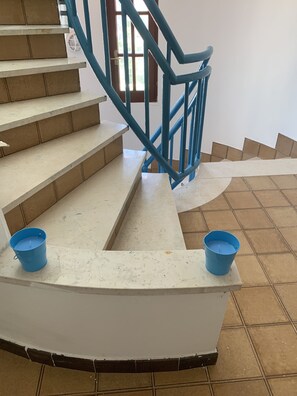 Interior - Forget-me-nots Apt (Bari)