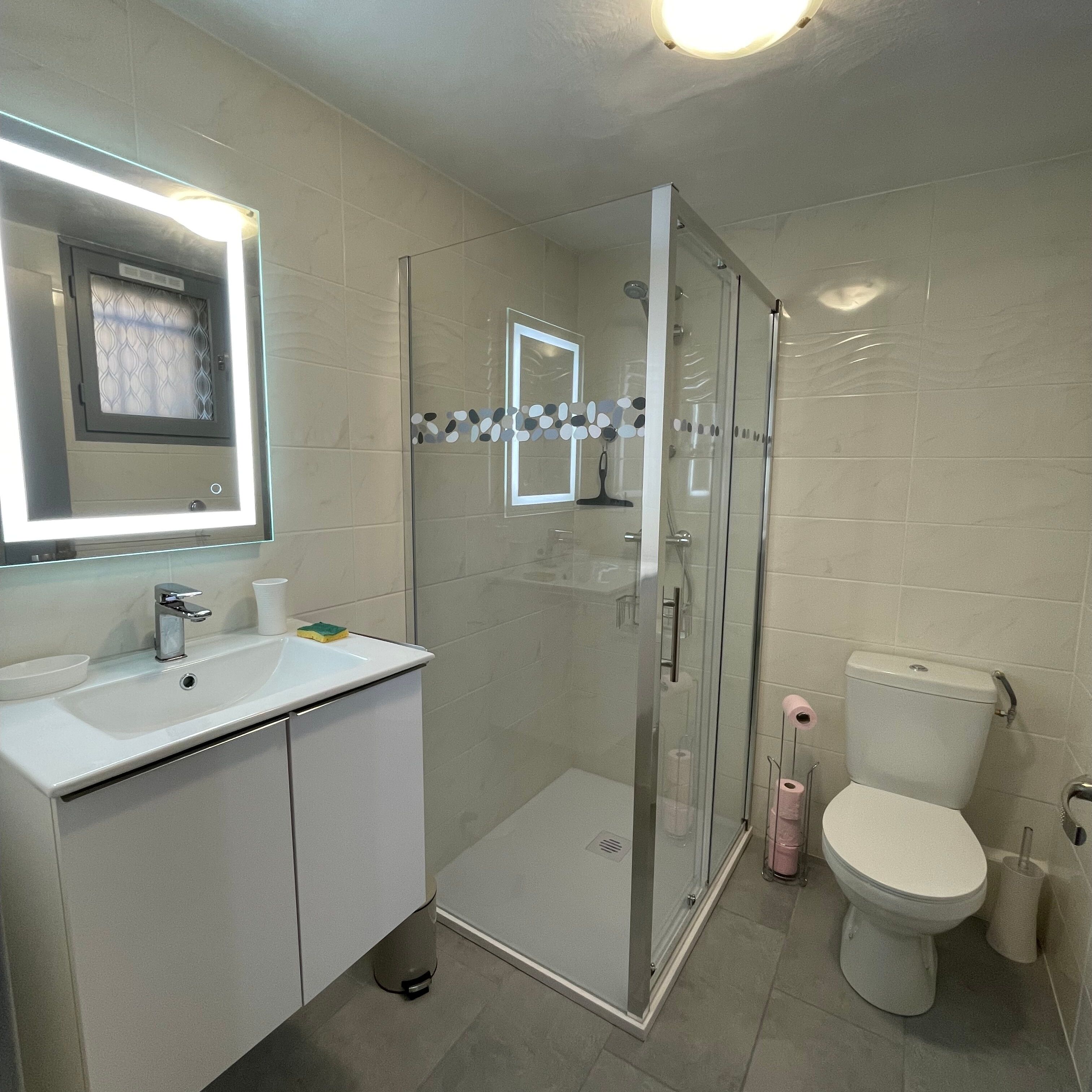 A modern bathroom with a glass-enclosed shower, a white sink with a mirror above it, and a toilet with a paper towel holder.
