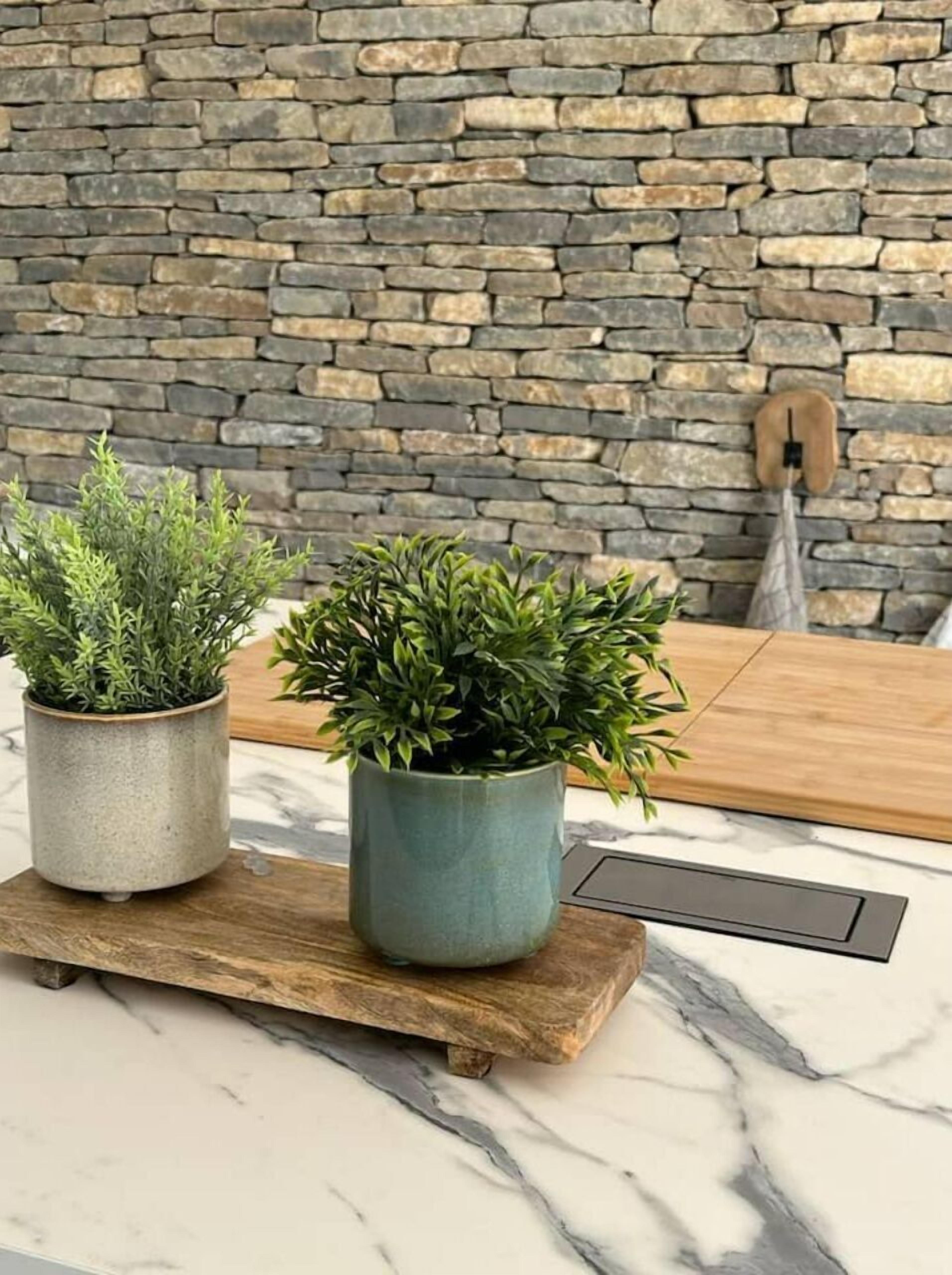 Two potted plants on a wooden board against a stone wall.
