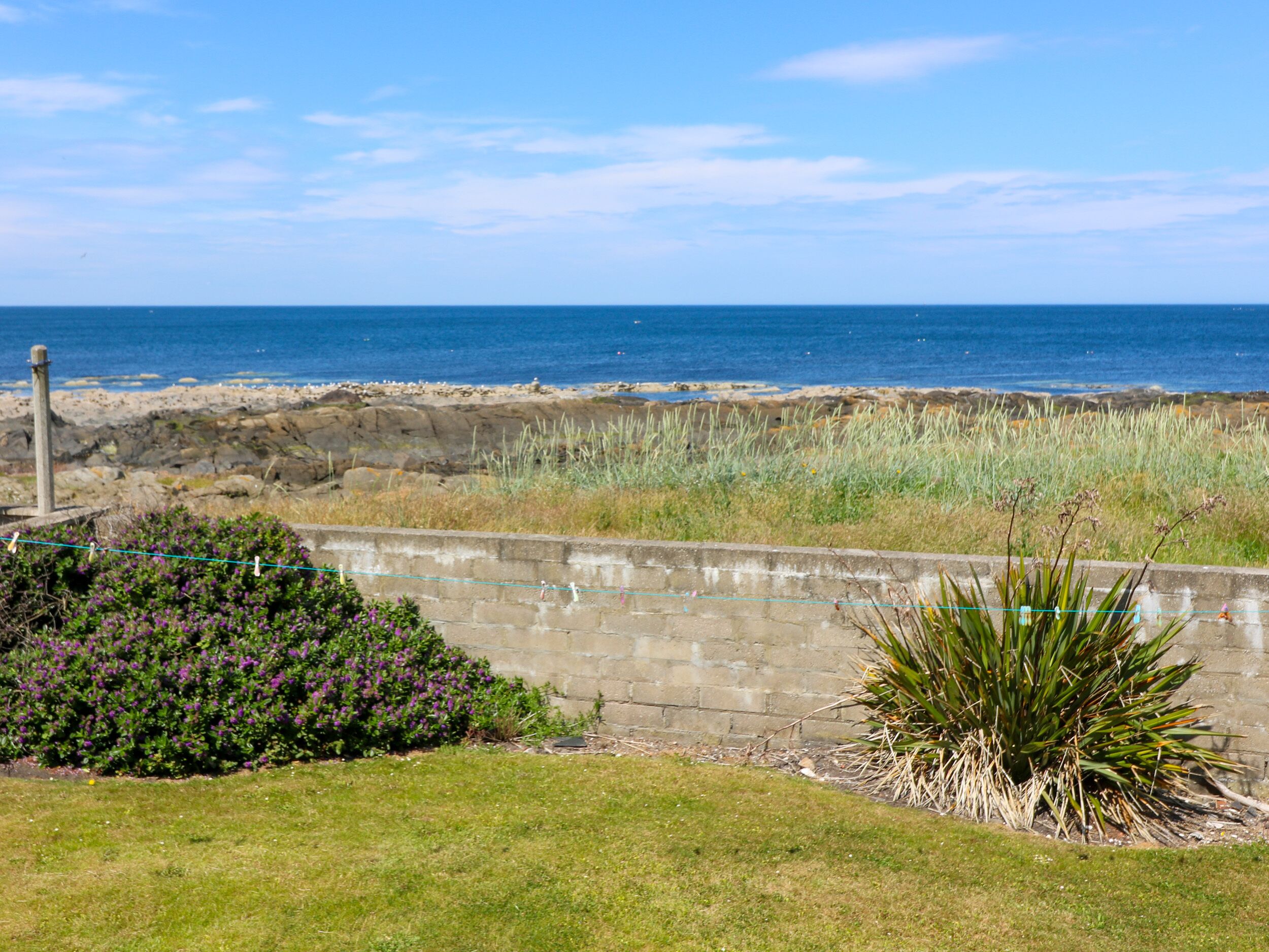 A coastal landscape with a grassy area, a concrete wall, and a view of the sea.