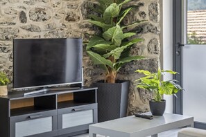 Televisión 