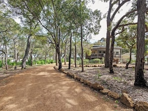 A dirt path leading to a house surrounded by trees.