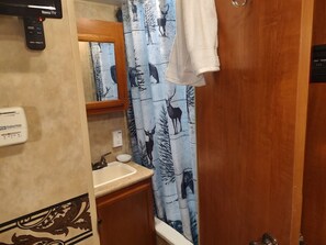 Asciugacapelli, asciugamani, sapone, shampoo