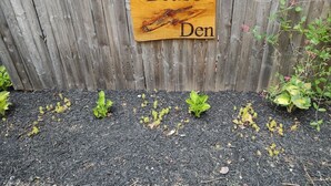 A wooden fence with a sign that reads "The Bear's Den." - Get away and get back to nature! (East Nassau)