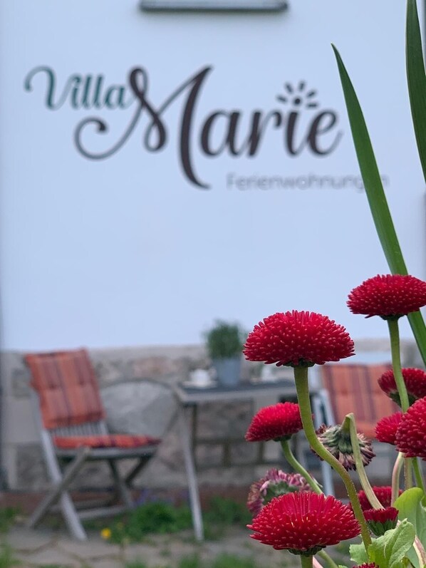 A sign for Villa Marie, a bed and breakfast, with a red flower in the foreground.