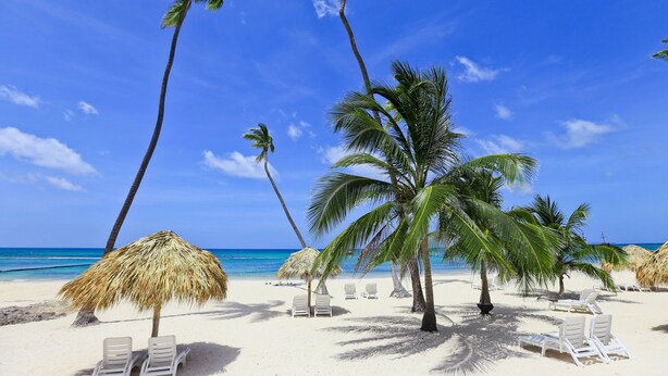 Ein Strand mit weißen Liegestühlen, Palmen und Reetdachschirmen.