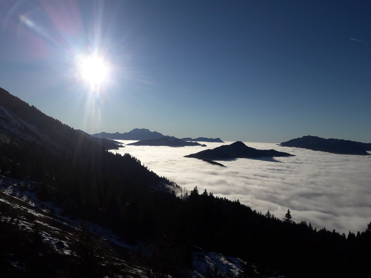 Bild für Gastgeberprofil