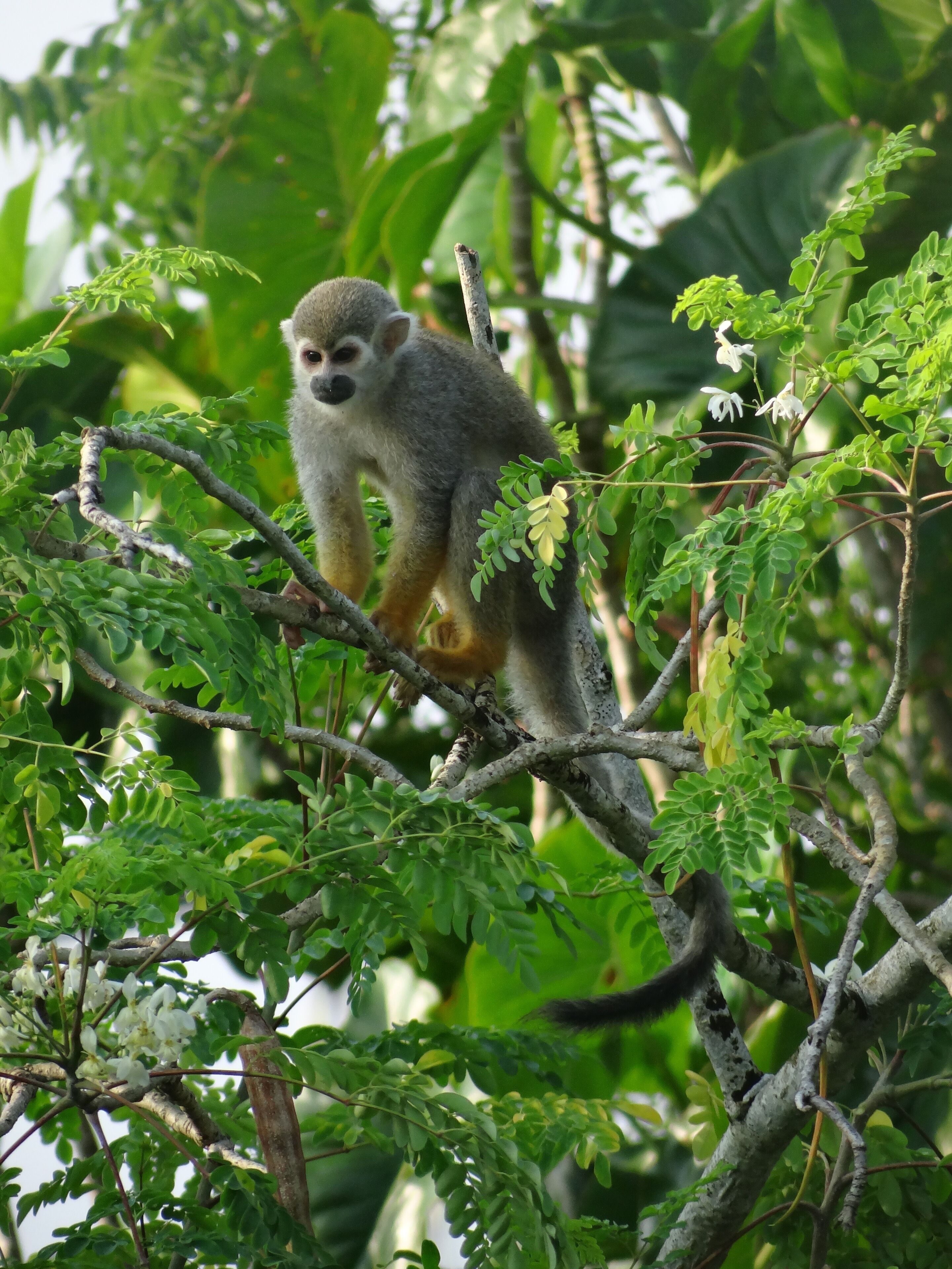 Foto - Sutopia Holiday Resort