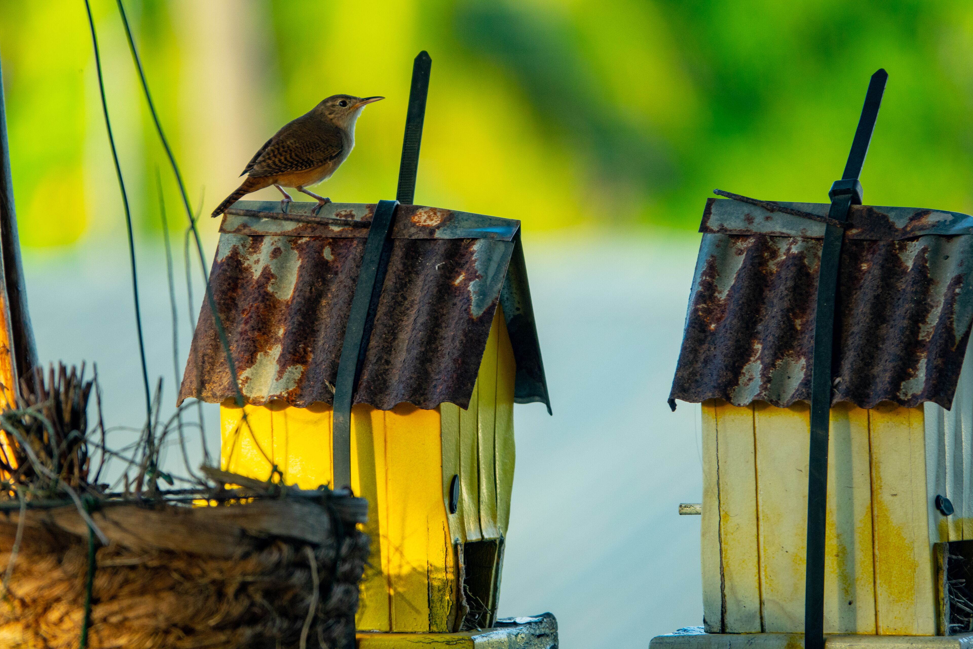 Foto - Sutopia Holiday Resort