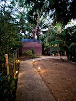 Un cobertizo rústico de madera con techo metálico, rodeado de densa vegetación tropical y un camino pavimentado que conduce hacia él.