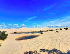 A desert landscape with sand dunes, sparse vegetation, and a small water body.