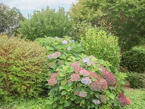 Cottage | Property grounds