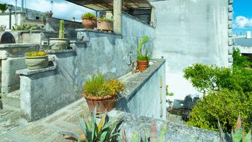 Maison Traditionnelle | Terrasse/Patio