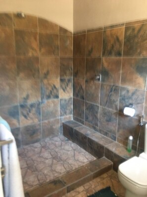 Ducha, toallas, jabón, shampoo