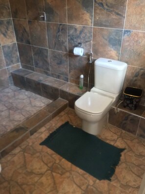 Shower, towels, soap, shampoo