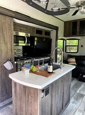 Fridge, microwave, stovetop, coffee/tea maker - Beautiful Park model RV on bank of  Esopus Creek (Phoenicia)