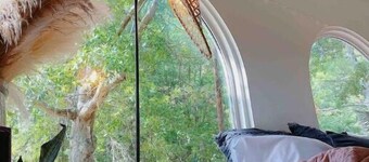 Travelers Rest Villa