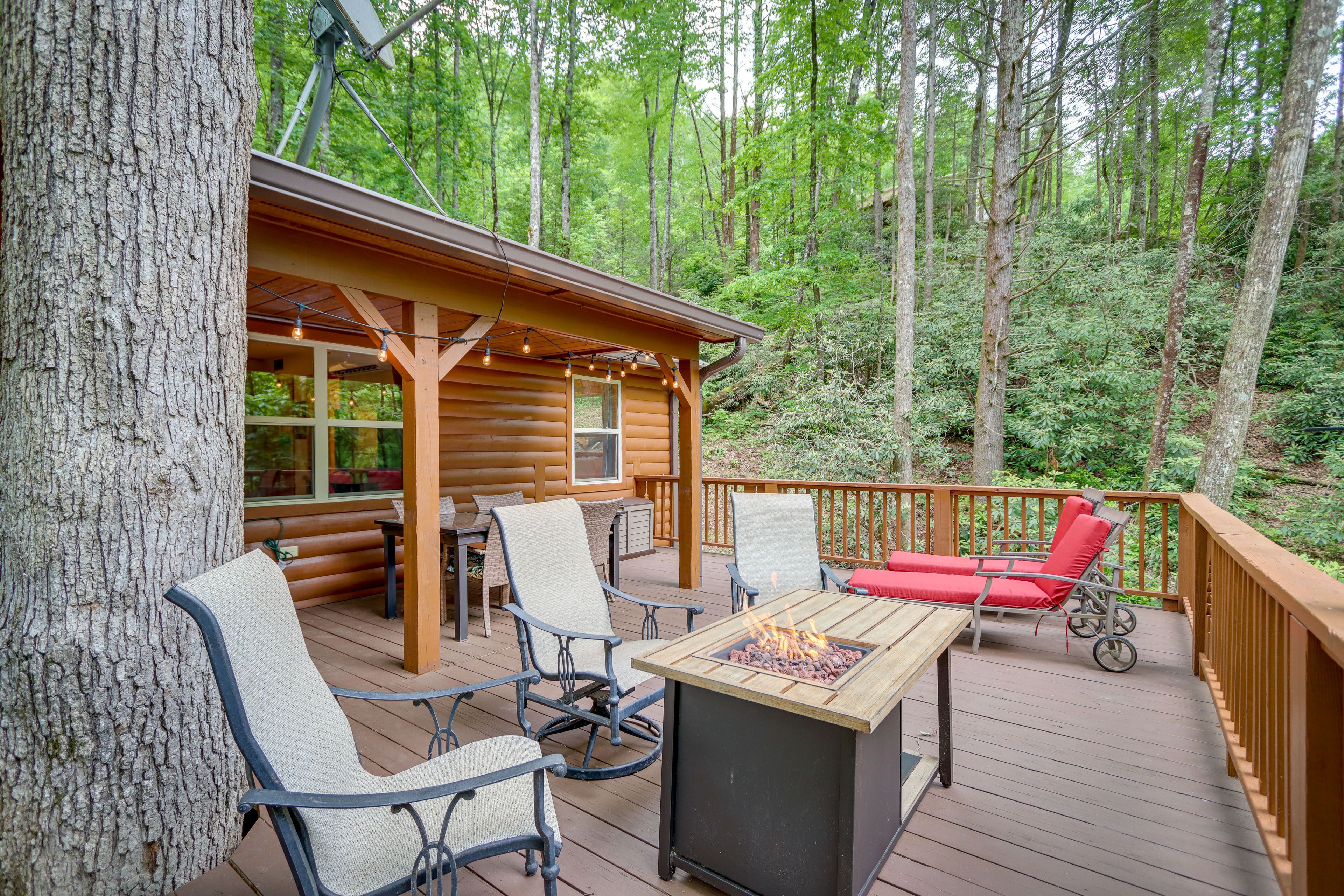 Remote Escape: Murphy Cozy Cabin in the Woods
