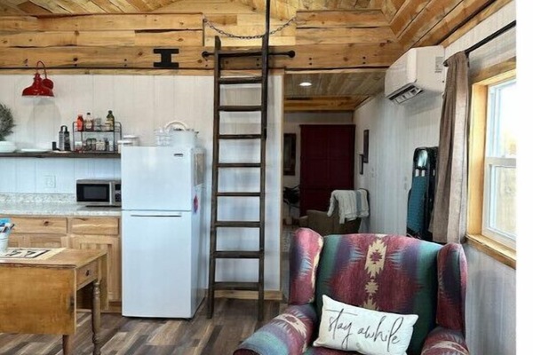 Smart TV, chimenea, libros