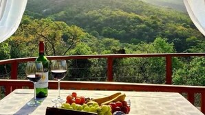 Una mesa servida con una botella de vino, dos copas y una variedad de frutas en un balcón con vista a una montaña boscosa.