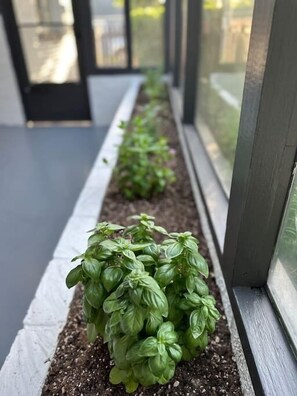 Détail de l’extérieur