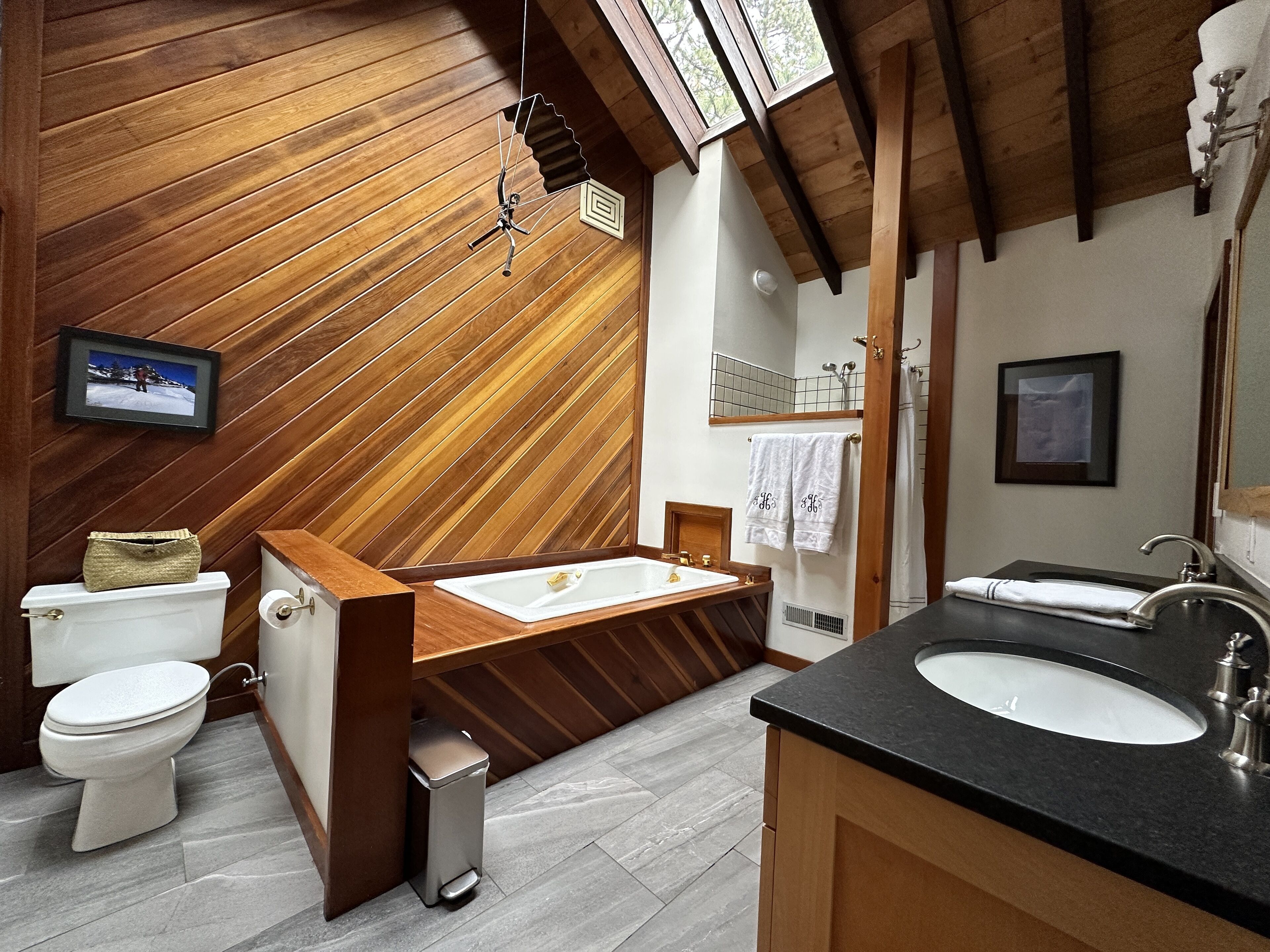 Shower, jetted bath, hair dryer, towels