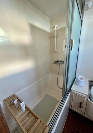 Regadera, amenidades de baño ecológicas, secadora de cabello, toallas 