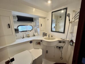 Shower, eco-friendly toiletries, hair dryer, towels