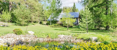 A house surrounded by a garden with a pond and yellow flowers.