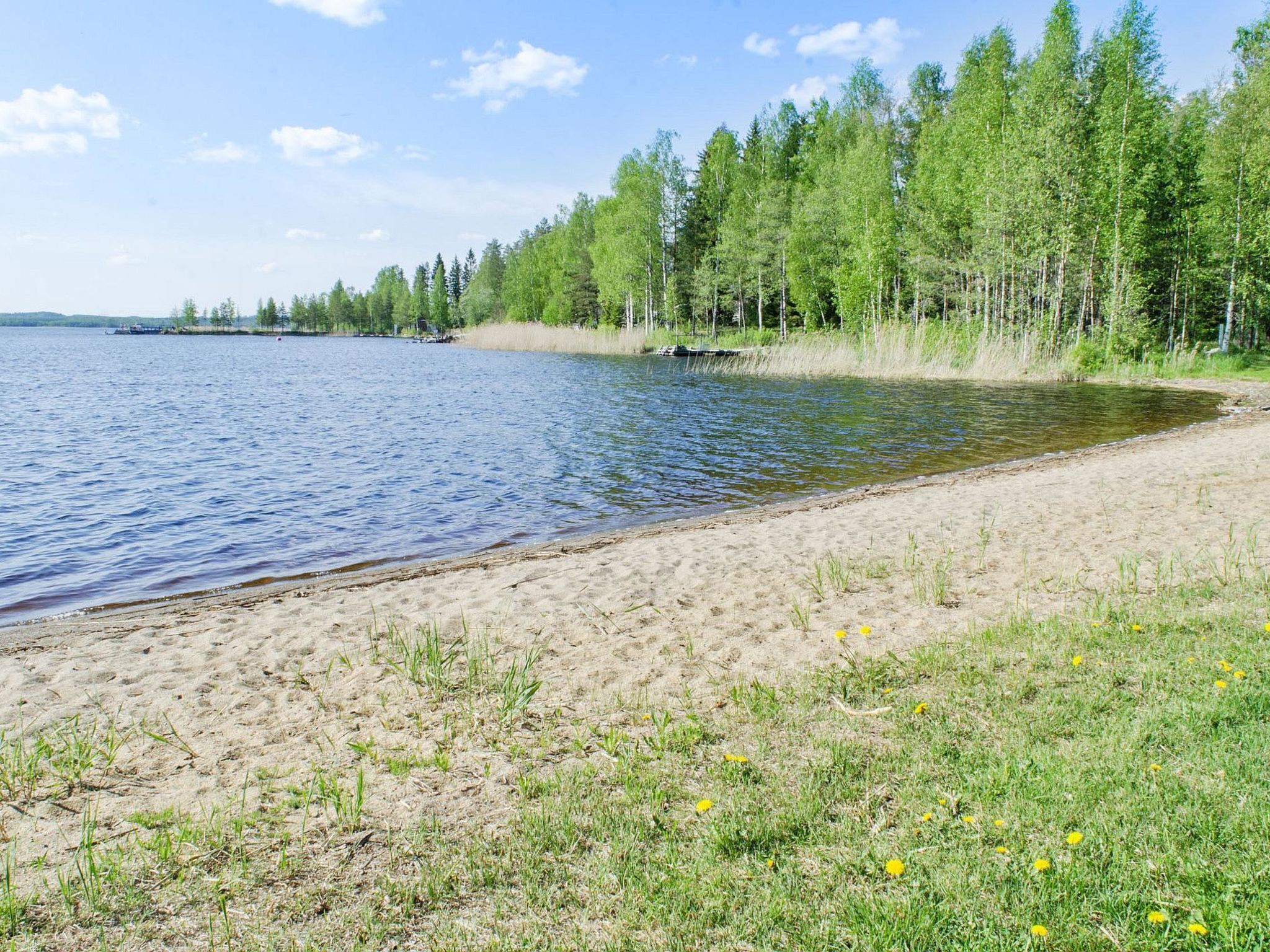 Ranta