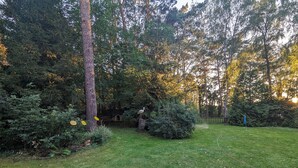 Un jardin bien entretenu, avec une pelouse, des arbres et un abreuvoir pour les oiseaux.