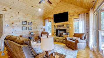 TV, fireplace, books