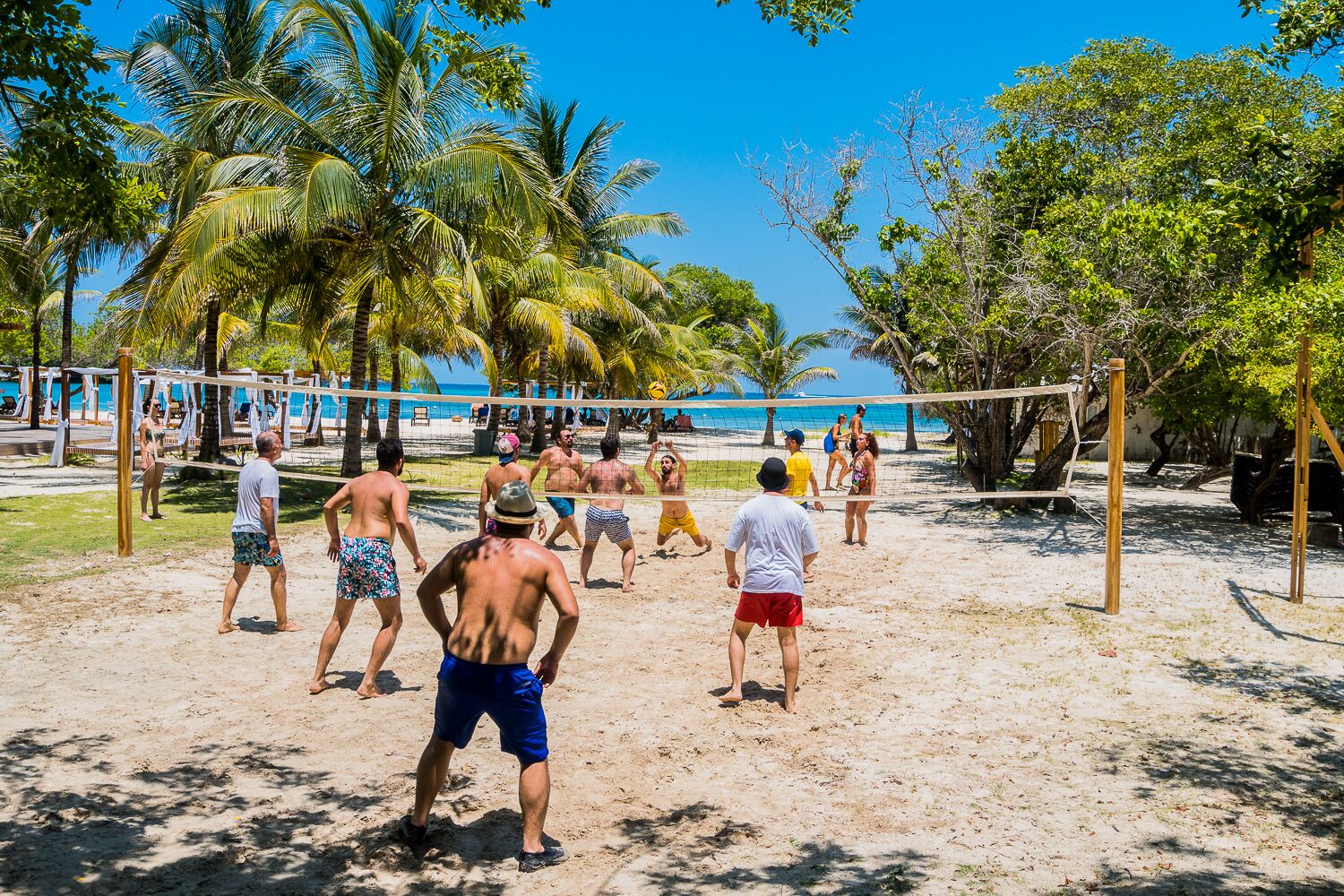 En strandvolleybollmatch med spelare i avslappnade strandkläder, palmer och en klarblå himmel.